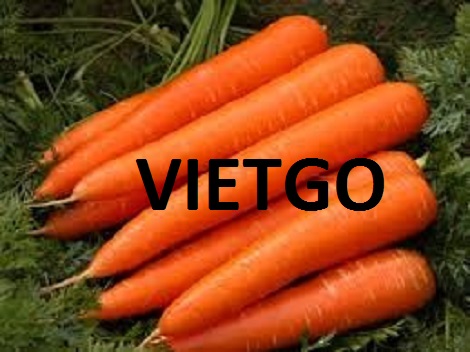 CÀ RỐT VIETGO